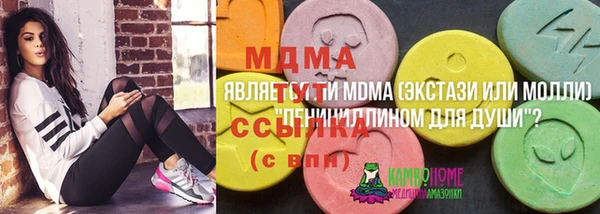 хмурый Арсеньев