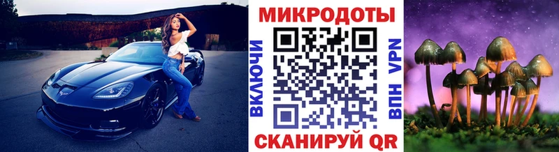 блэк спрут как зайти  Зуевка  Псилоцибиновые грибы GOLDEN TEACHER 